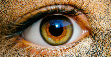 découvrez comment tester facilement l'alimentation d'une bobine d'allumage avec connecteur 3 ou 4 fils grâce à notre guide étape par étape pour un diagnostic précis et efficace.